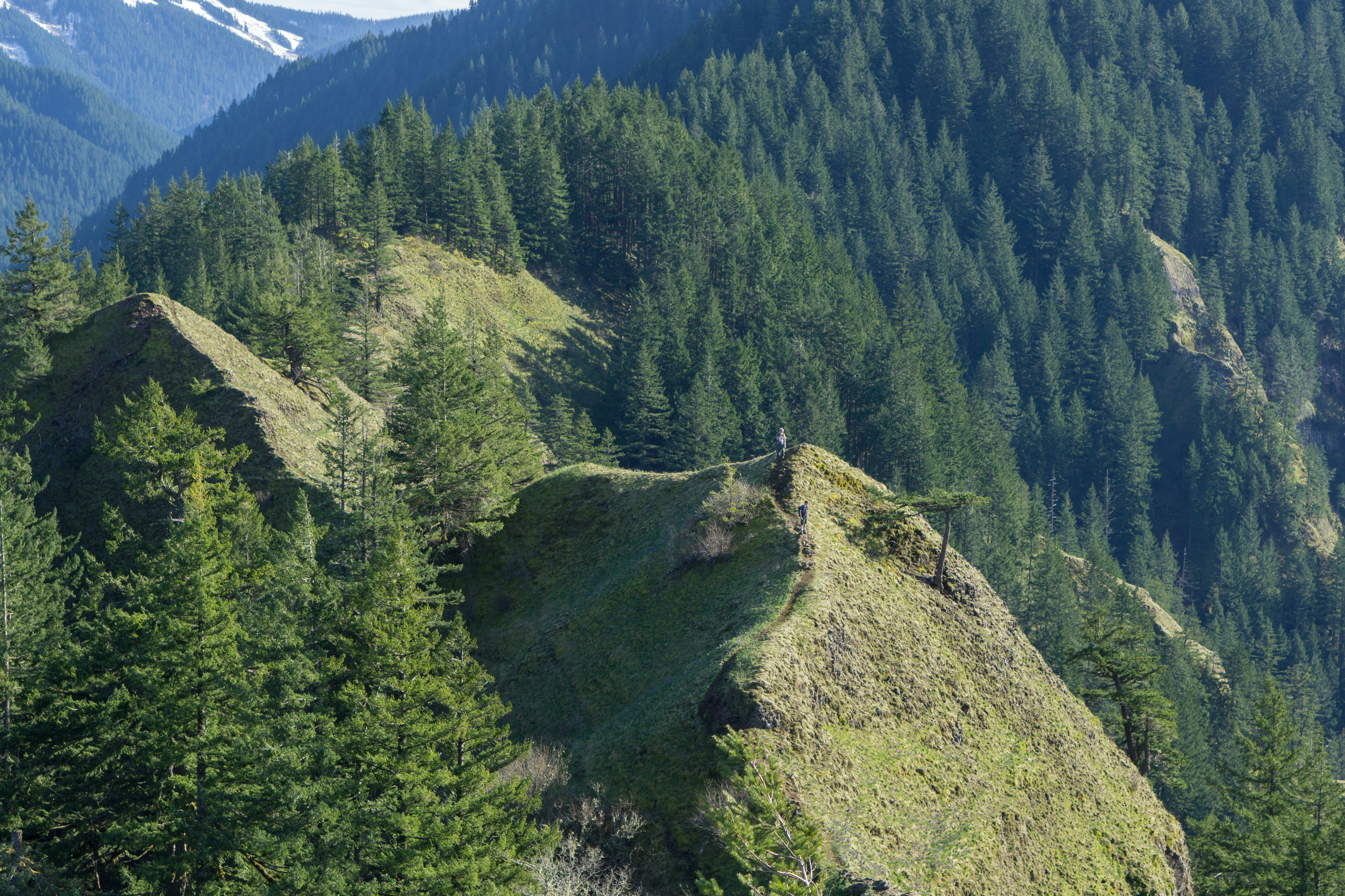 green mountain during daytime